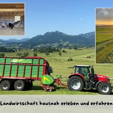 Alojamento de Turismo Rural Herz *